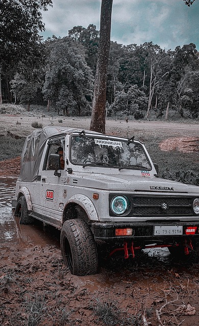 迎的運動之 迎的運動之