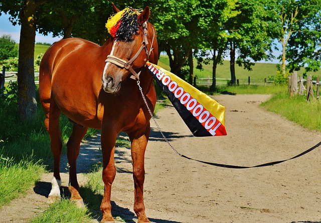 线外的冷静 线外的冷静