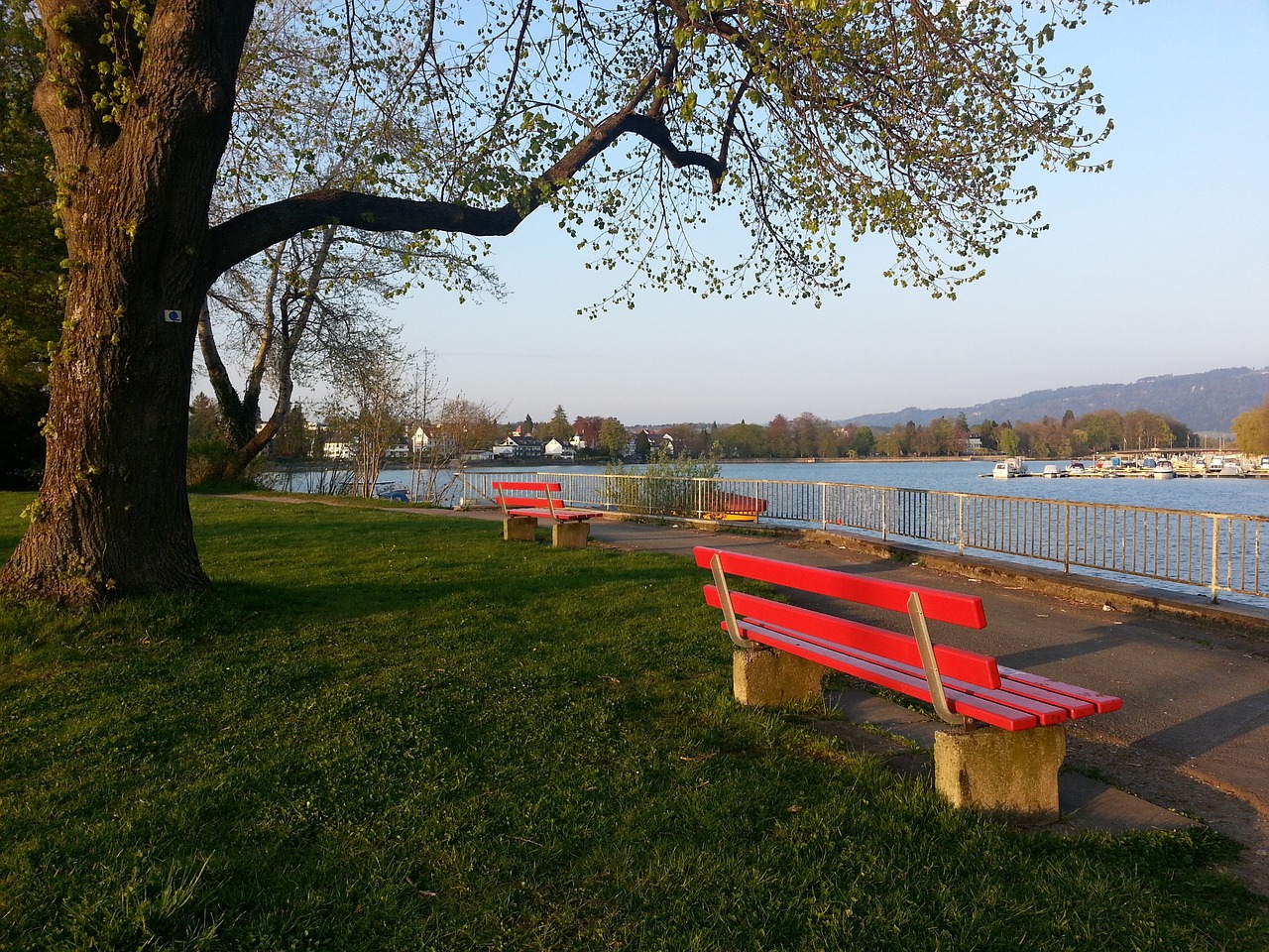 每年的赛事 每年的赛事