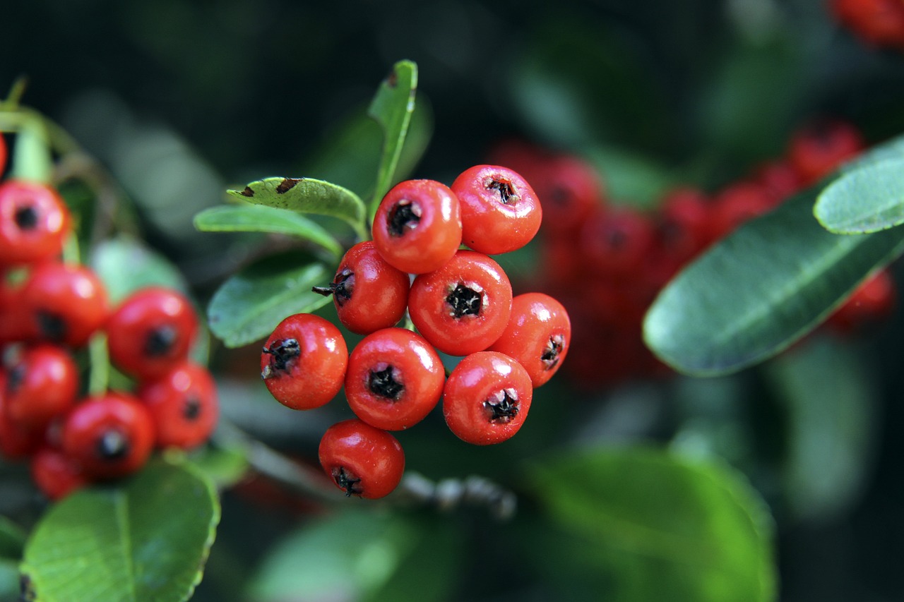 手之间的那 手之间的那