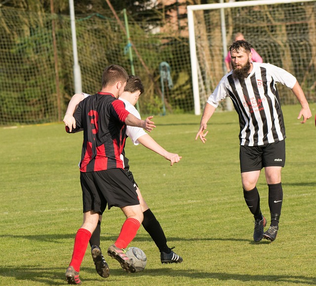 通过缜密的 通过缜密的